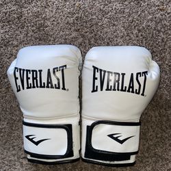 Everlast Boxing Gloves(No Shipping)