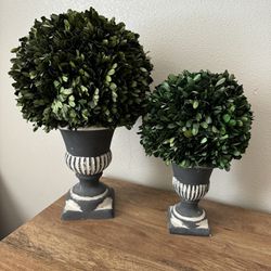 Fake Plant Set 