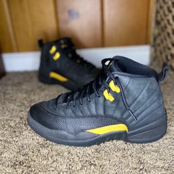 Jordan 12