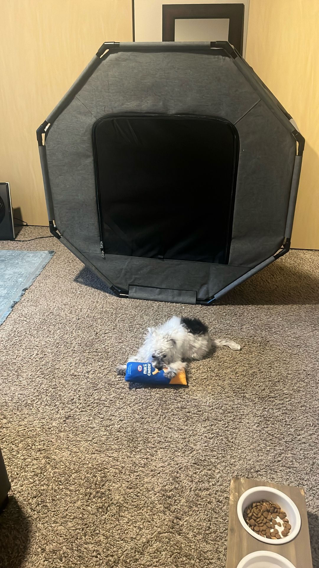 Play House For Dogs