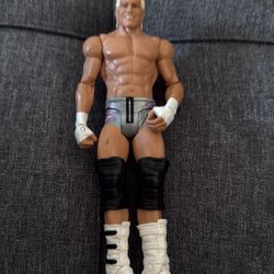 WWE Basic Series Dolph Ziggler action figure Mattel