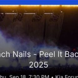 Nine Inch Nails with Boys Noize 
