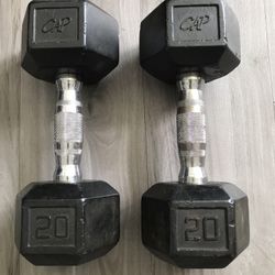 20lbs Dumbbells 