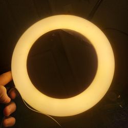 Dual ring light