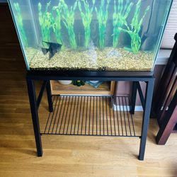 20 Gallon Aquarium Fish Tank Complete With Stand 