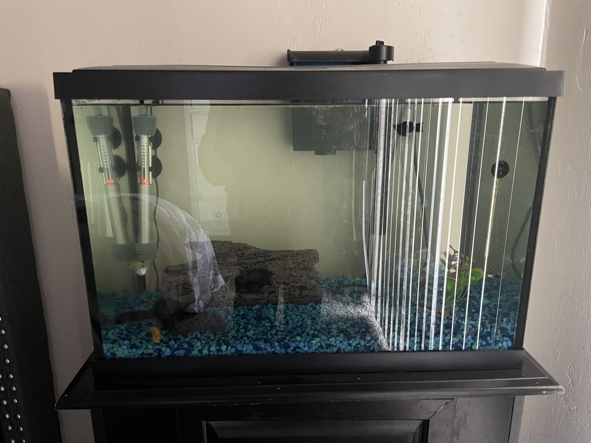 20 Gallon Fish Tank And Stand For Sale In Scottsdale AZ OfferUp 20-gallon-fish-tank-and-stand-for-sale-in-scottsdale-az-offerup