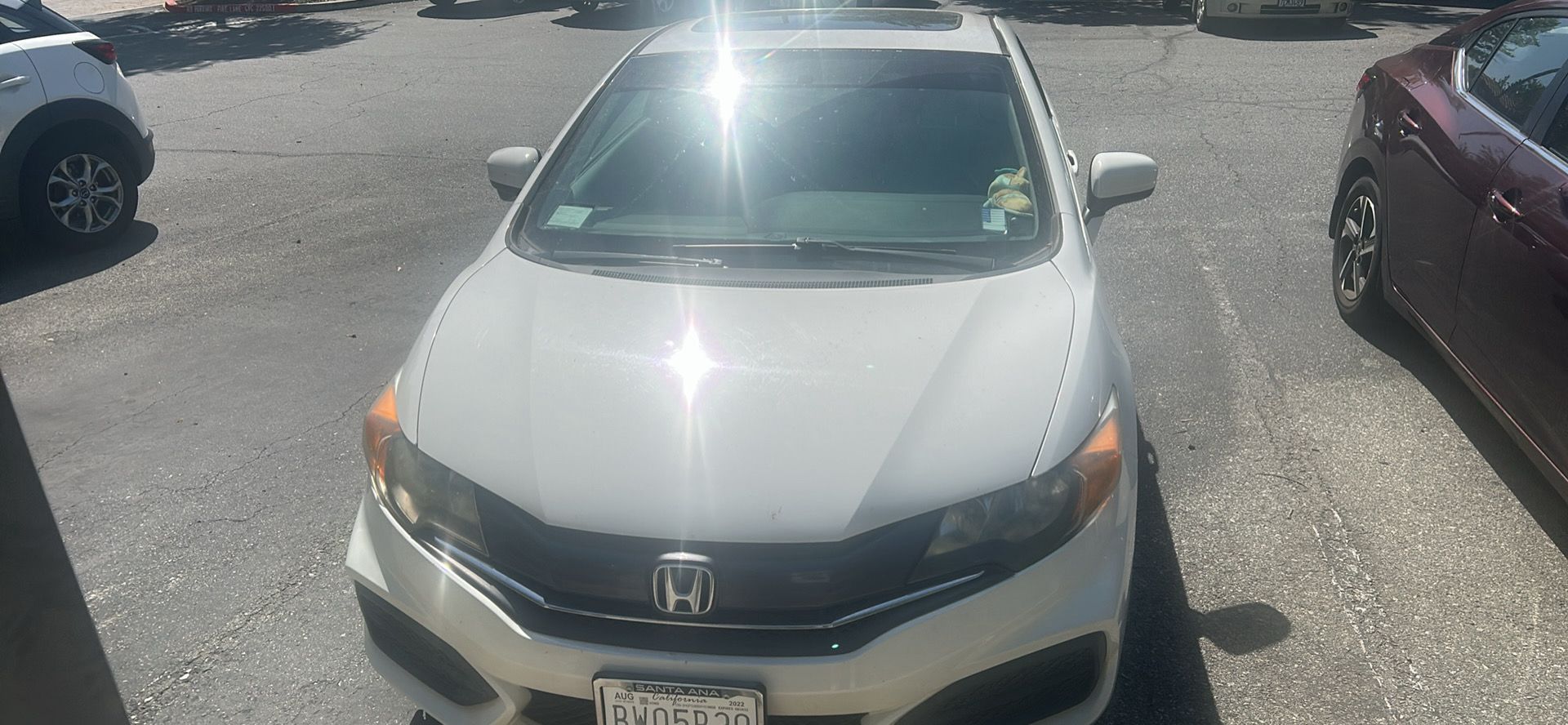 Honda Murrieta Canull