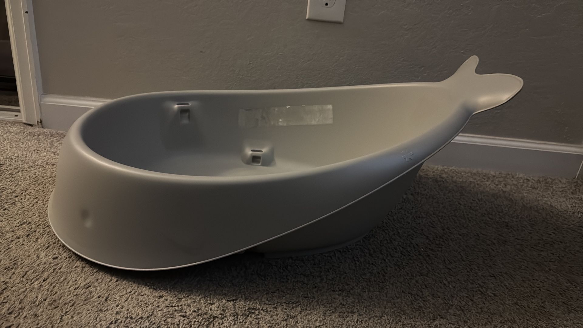 Baby Whale Bath
