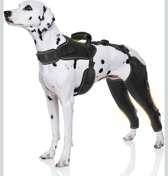 Dog ACL Knee Brace for Torn ACL Leg Luxating Patella Dog Knee Braces - XL