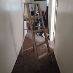 Old Ladder Need Gone 