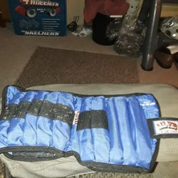 Twenty Pound Adjustable Weight Belt