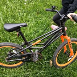 Kids Bike - 20" Giant