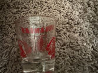 vintage 1970s Arkansas Razorback