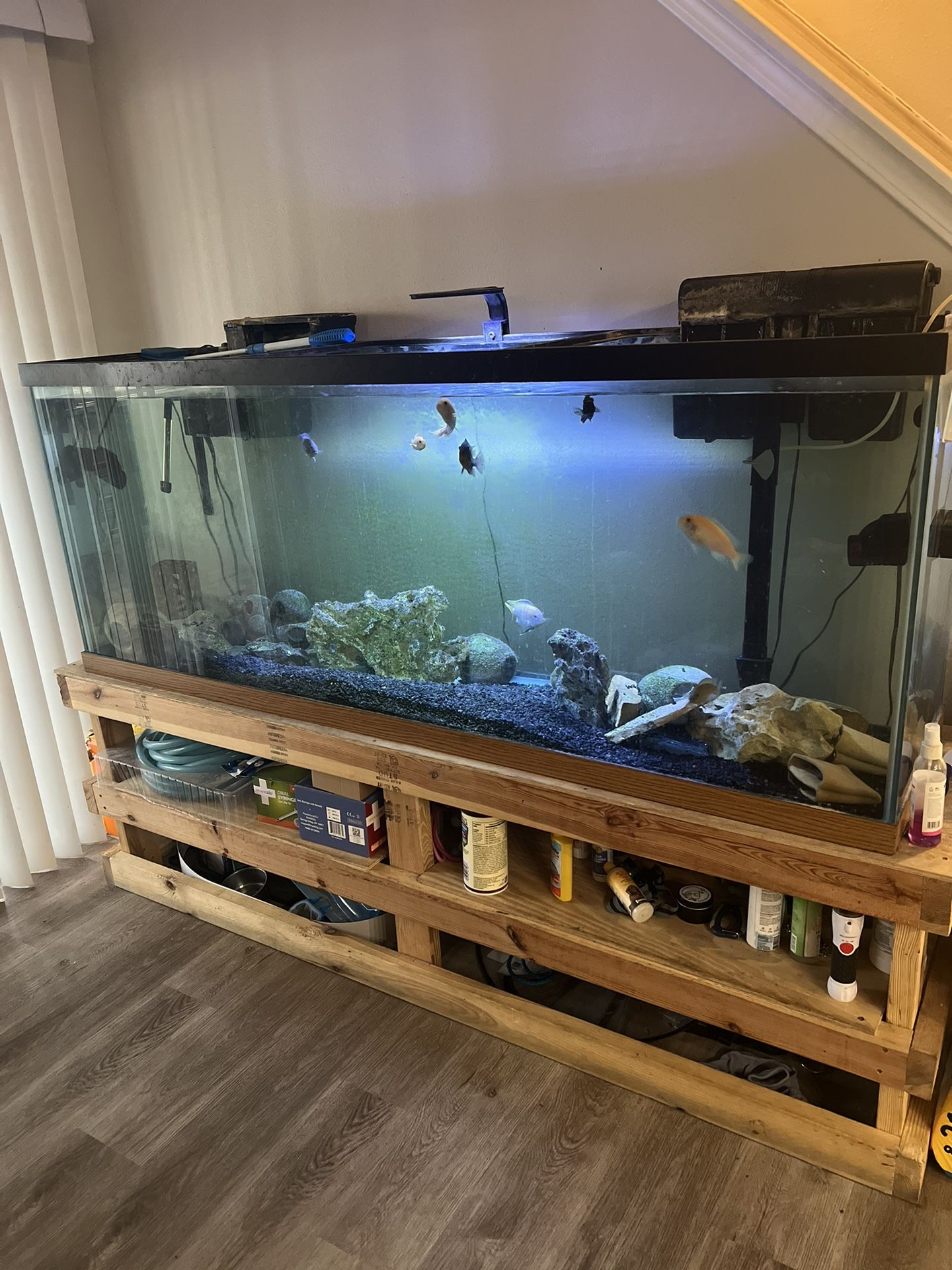 150 Gallon Fish Tank 🐠  $650