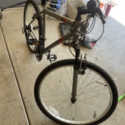 Roadmaster Bike