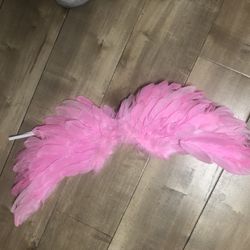 Angel Wings/fairy Feather Wings/Halloween Costumes/diy Costumes 