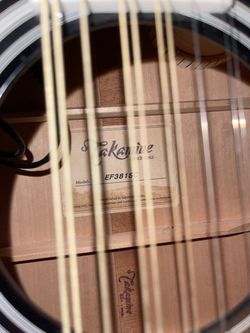 Takamine Guitar