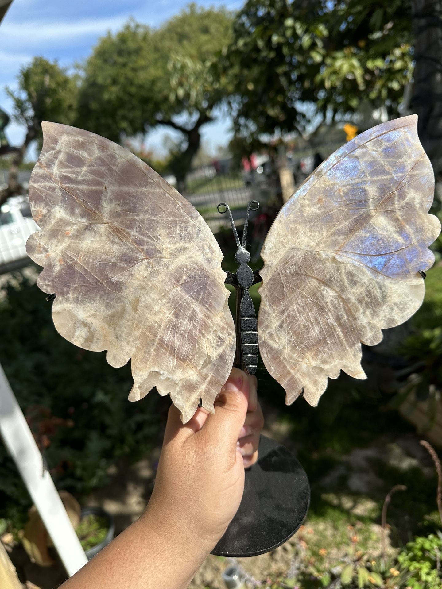 Moonstone Flashy Butterfly Wings