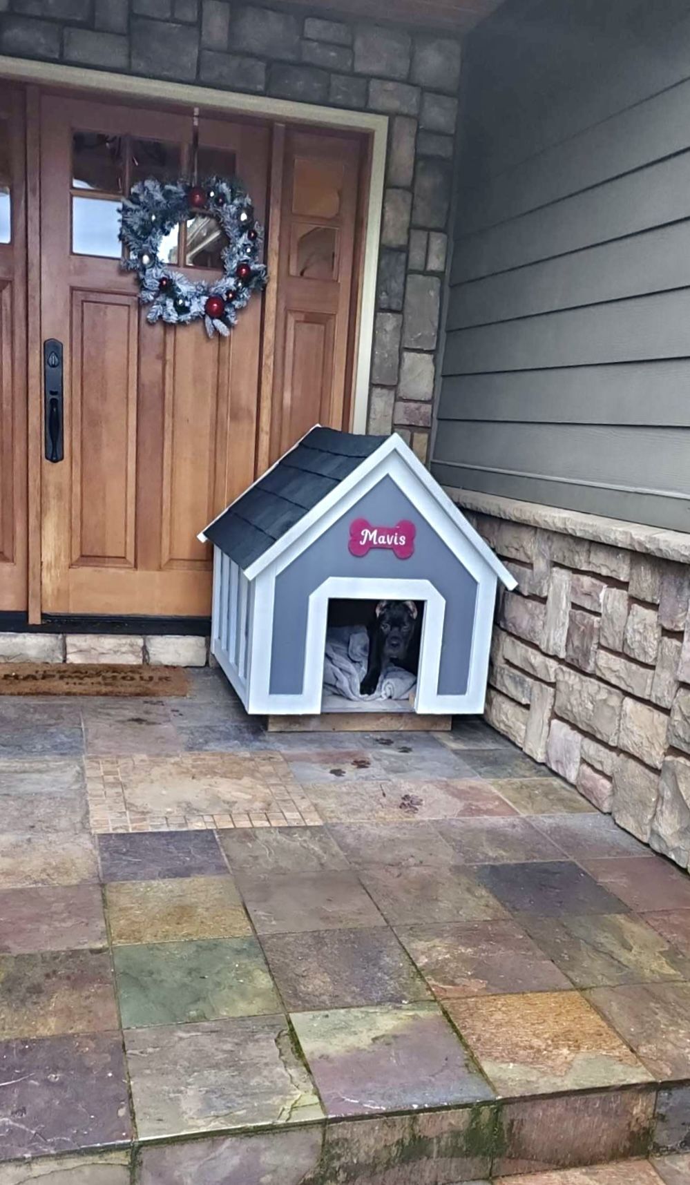 Custom Dog House