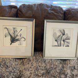 Modern Frame
