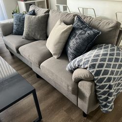 Light Grey Couch