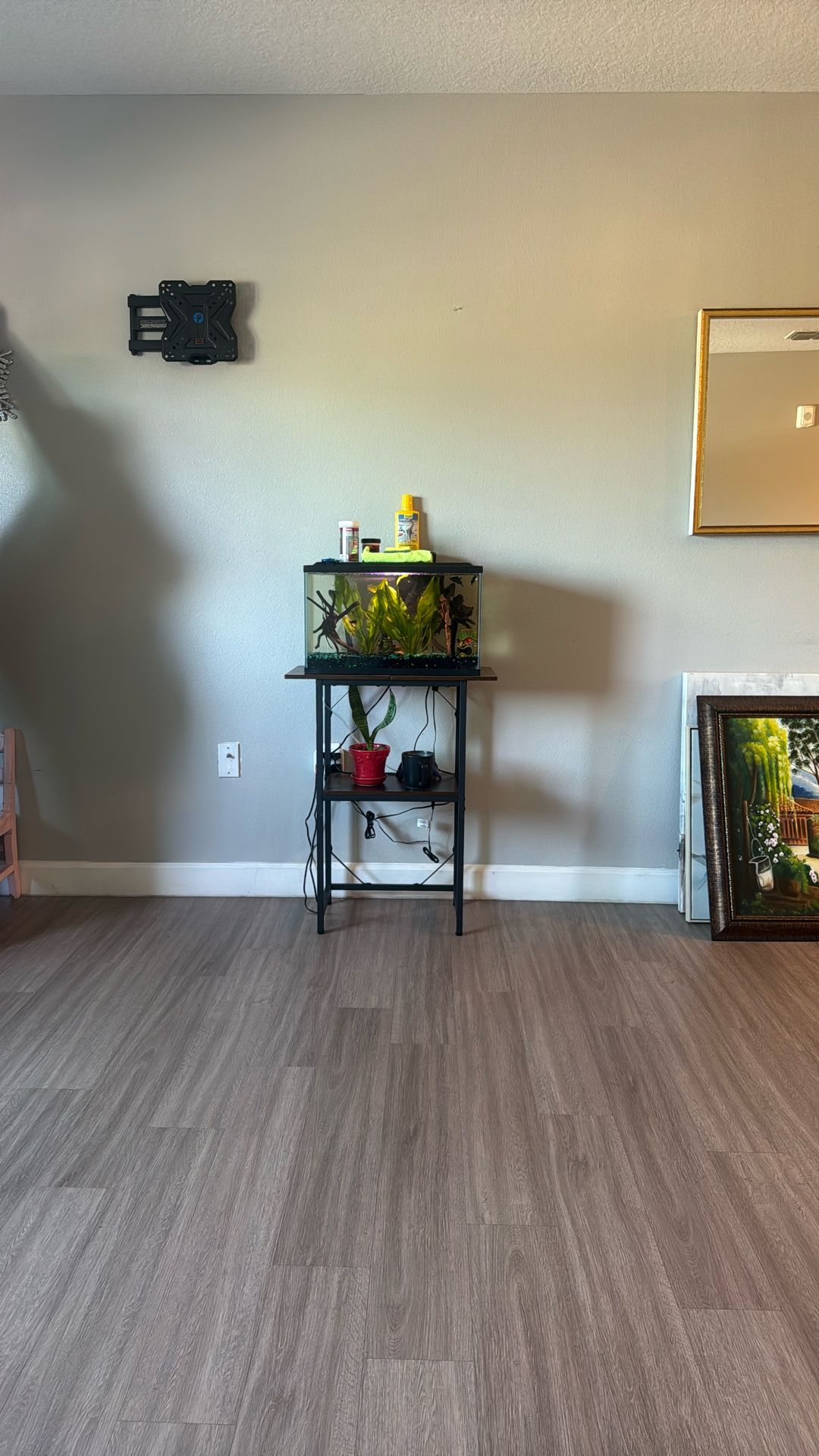 Fish Tank And Stand