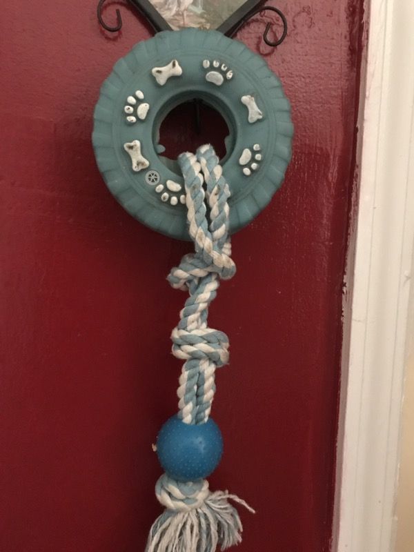 Dog toy🐕🐕🐕🐕👍