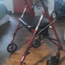 Seated Walker