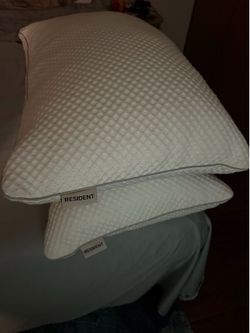 Pair of Fluffy Pillows