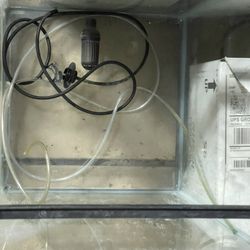 20 Gallon High Fish Tank