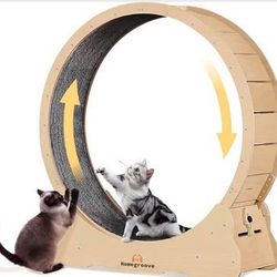 Cat Exercise Wheel -NEW