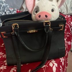 Dog Carrier