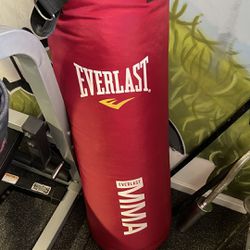 New Everlast Punching Bag 