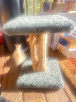 Cat scratching post