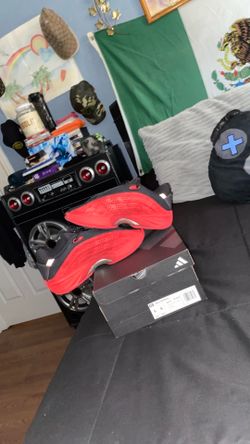 Adidas shoes red/black