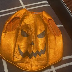 Pumpkin Costume