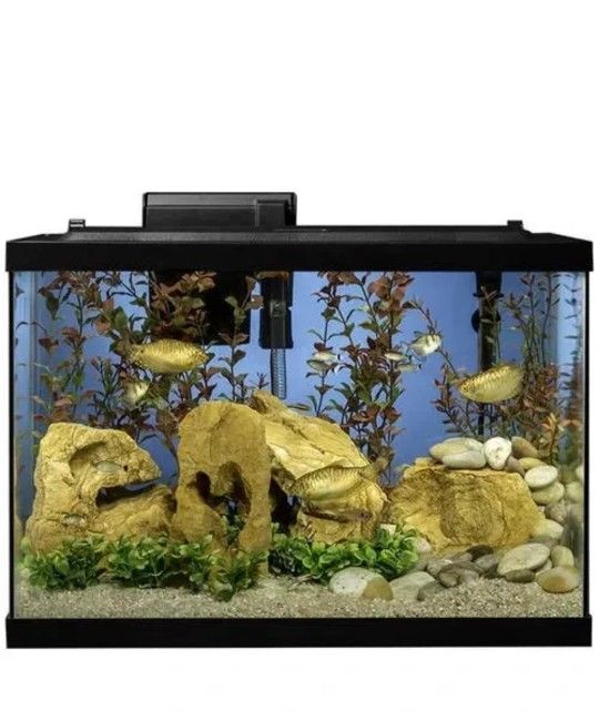 Tetra Aquarium 20 Gallon Fish Tank Kit, Includes LED Lighting and Decor

