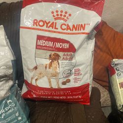 Dog Food 