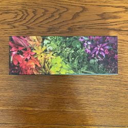 Plant Life Panoramic Puzzle - 1000 Pcs