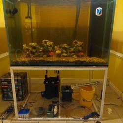 325 GALLON TANK (Please Read full Description)