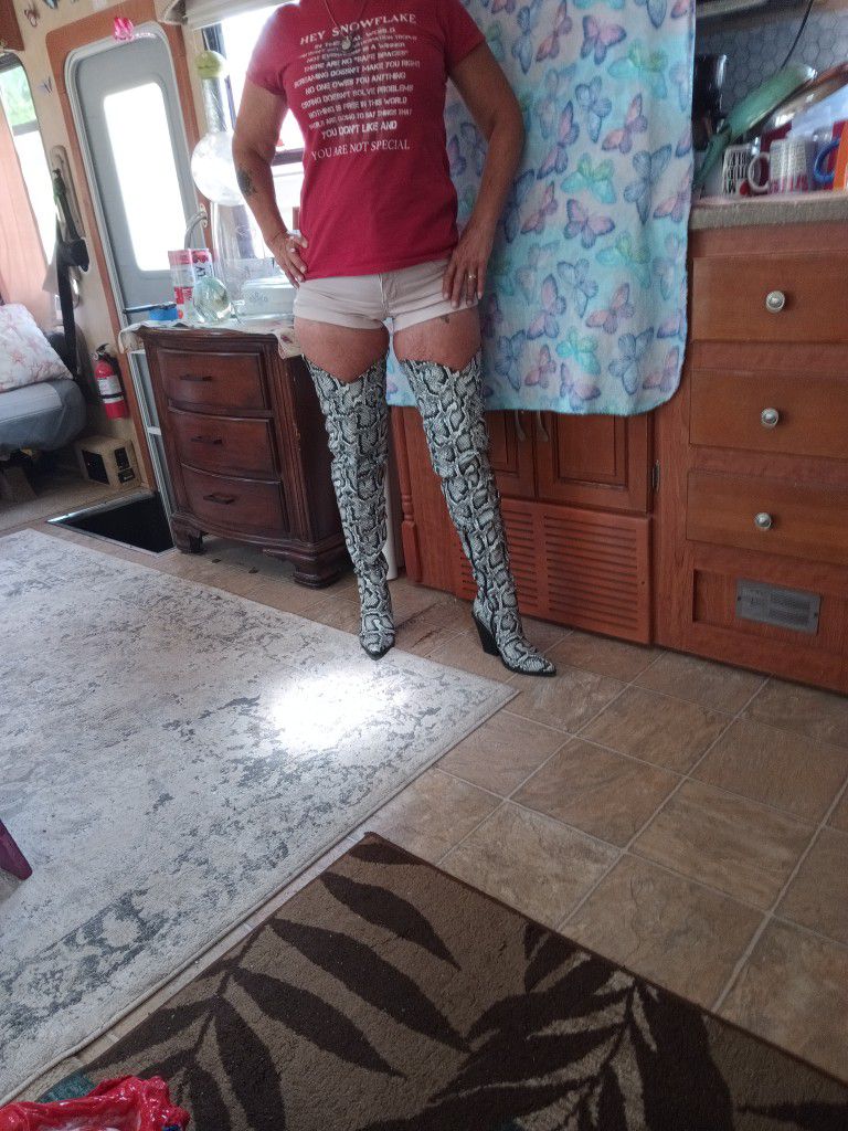 Thigh High Gray Snake Skin Boots