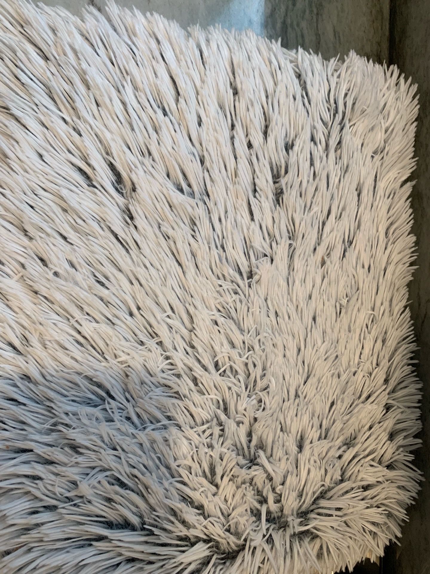 Dog blanket