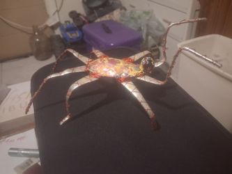 unique Spider one of a kind