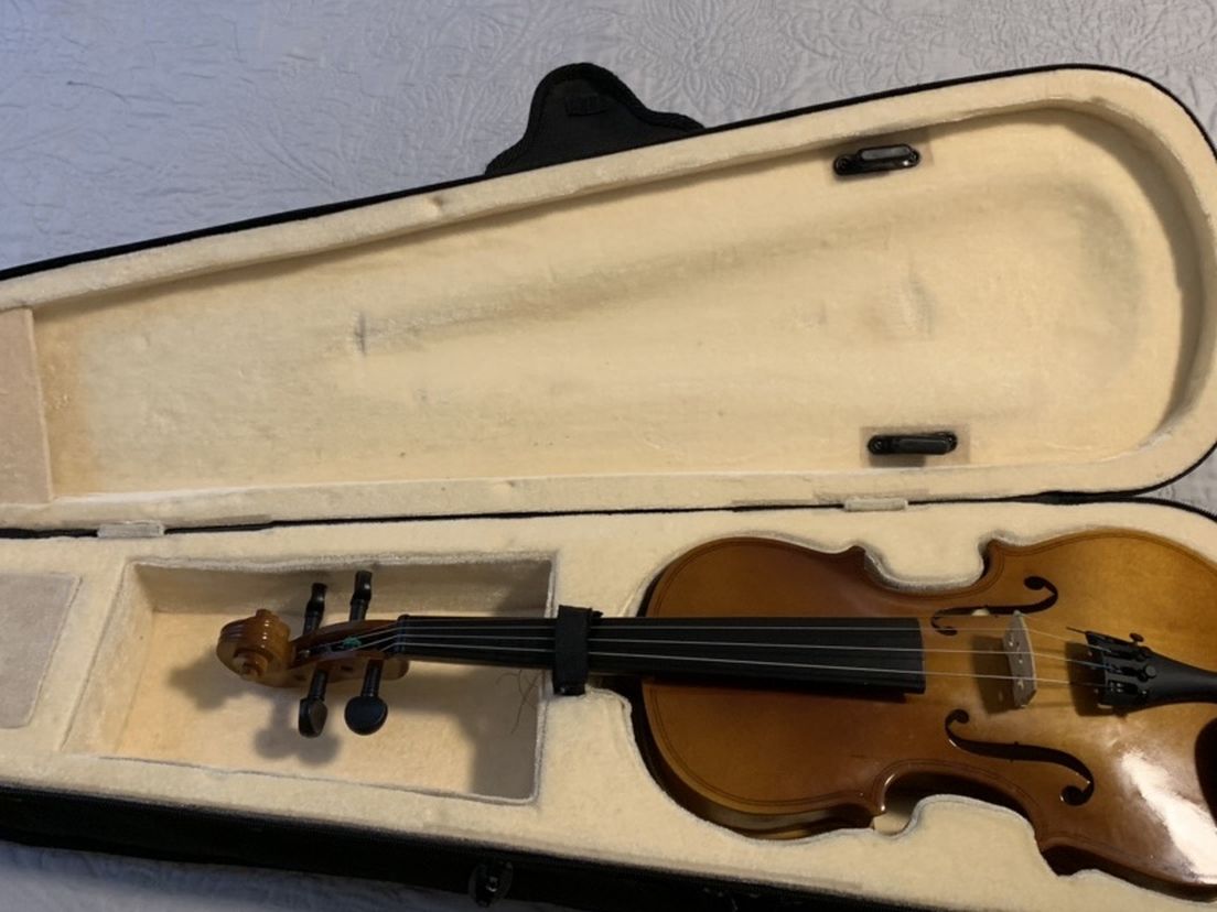 Violin