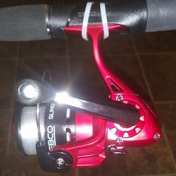 Fishing Pole & Reel Set