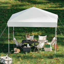 Brand New 10x10 Instant Canopy 