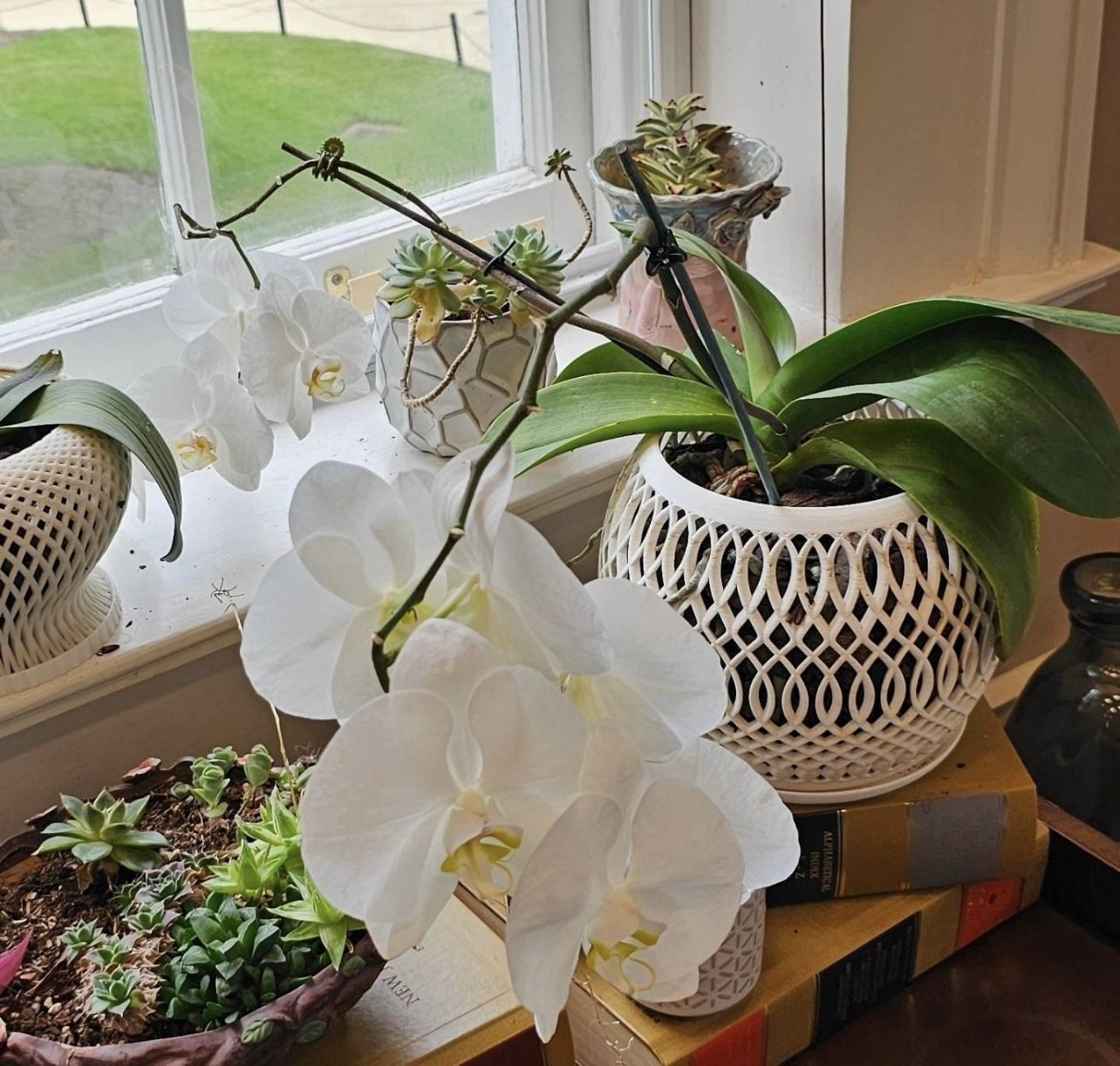 Orchid Pots Unique Custom Made LARGE