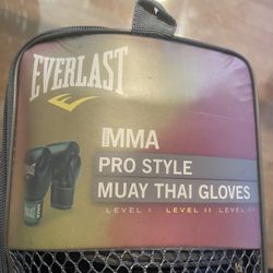 Everlast Boxing Gloves 