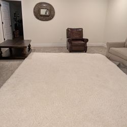 Microplush Performance Shag Rug