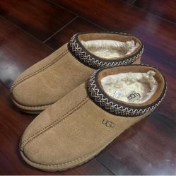 tasman uggs